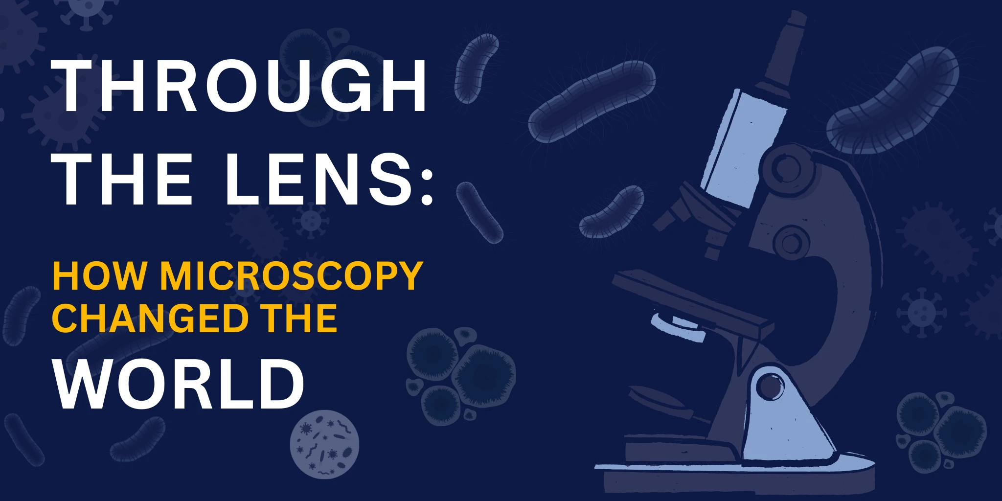 How Microscopy Was Discovered and How It Changed the World