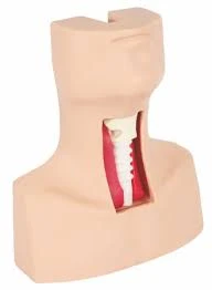 Tracheotomy & Endotracheal Intubation Model