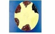 Skin Cancer Model