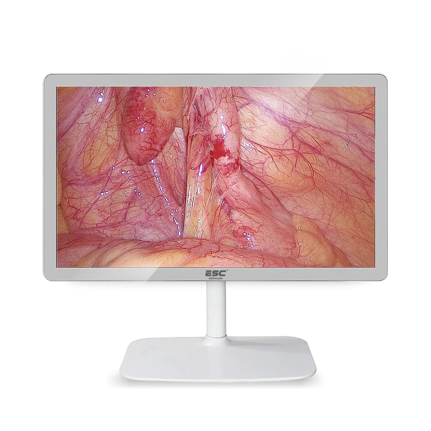 22-Inch Surgical Display Monitor