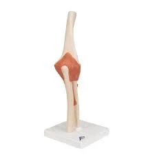 Elbow joint