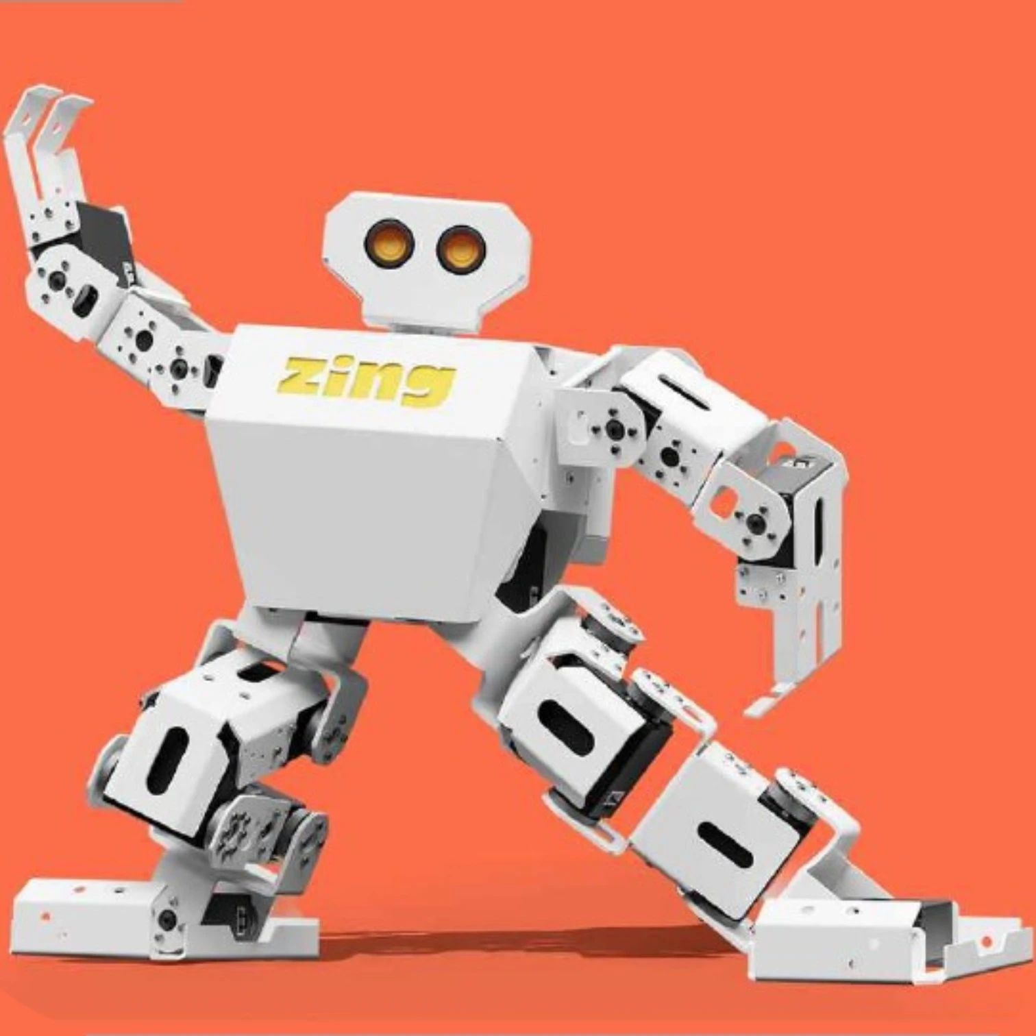 Zing Humanoid Robot for K...