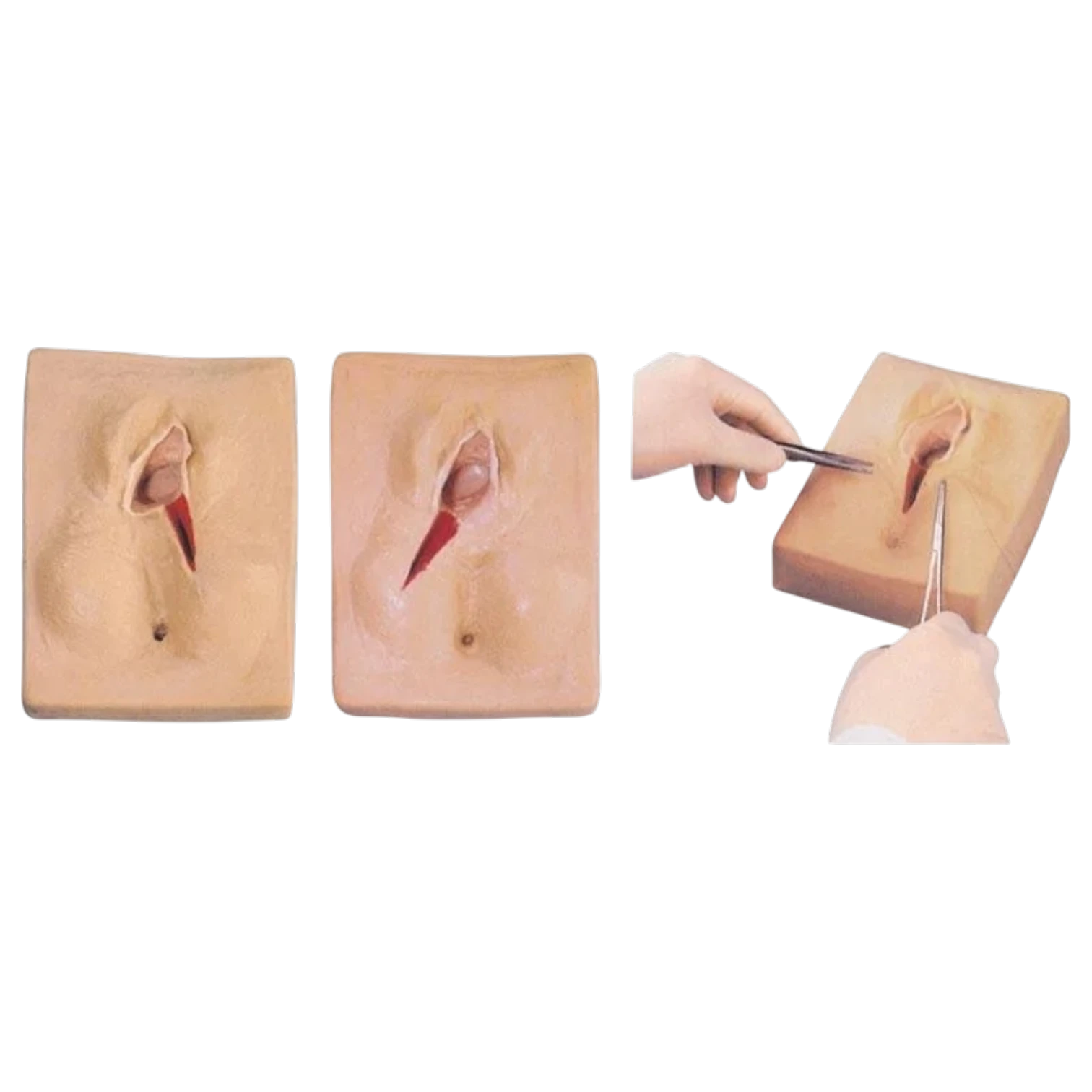 Vulva Suturing Training Simulator