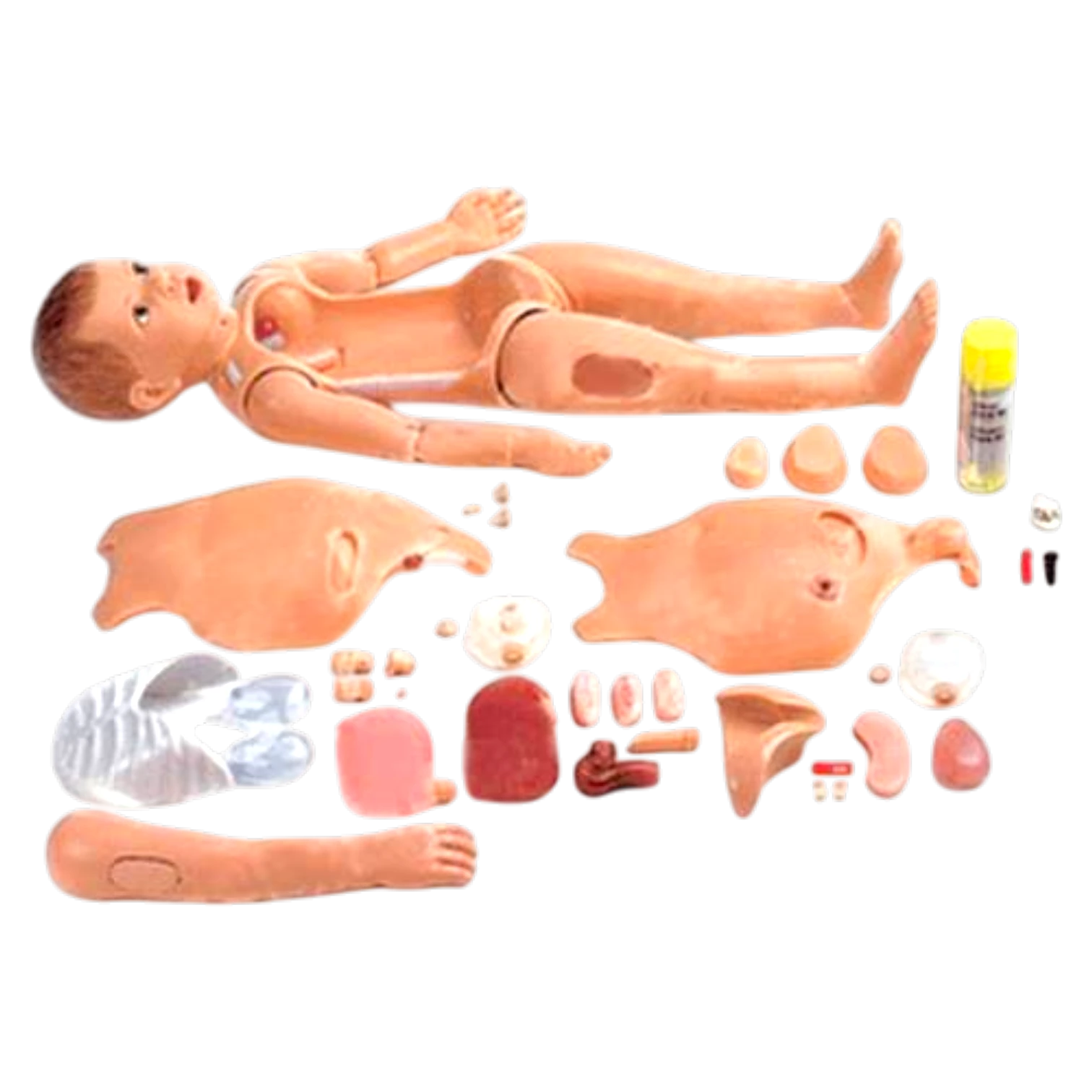 Advanced Multi-functional Child Nursing Manikin (Unisex)
