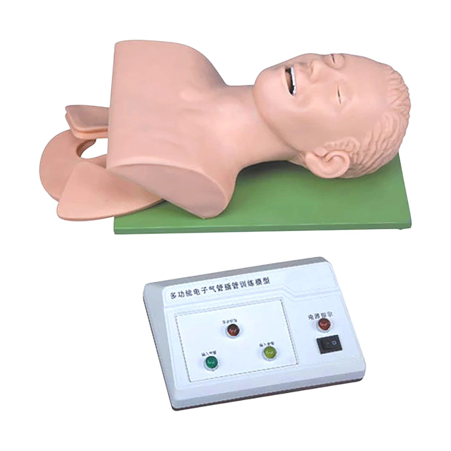 Airway Intubation Model
