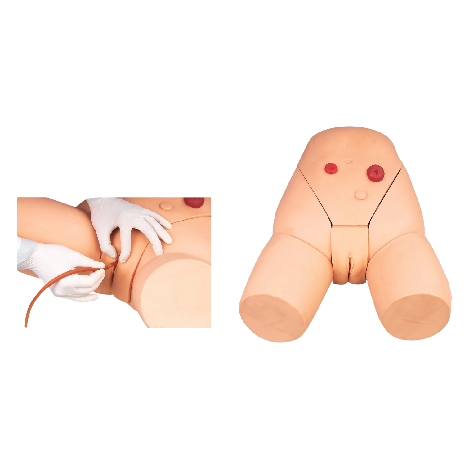 Female Catheterization Training Simulator