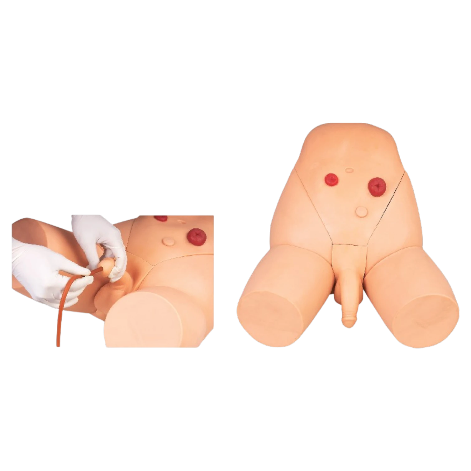 Male Catheterization Training Simulator