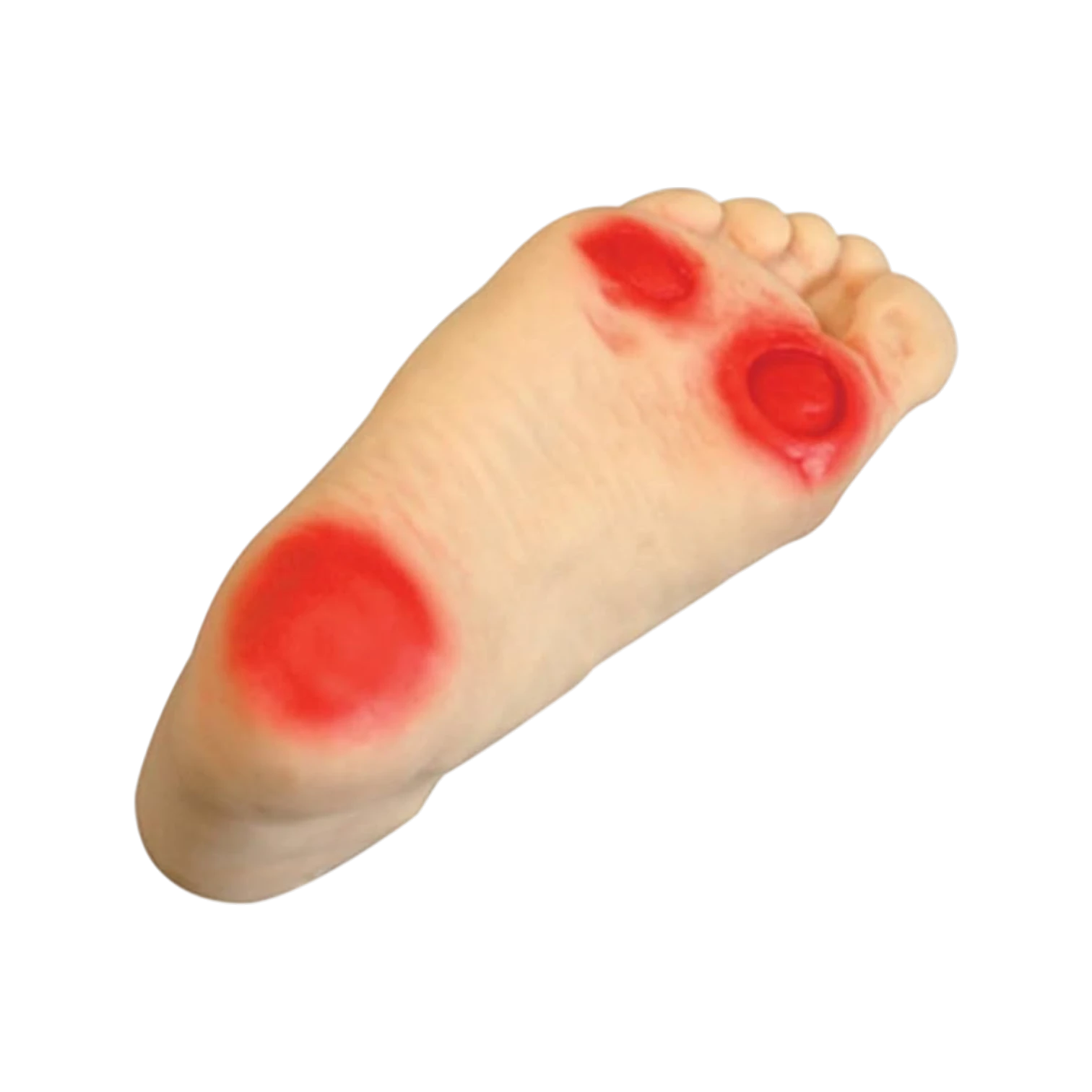 Diabetic Foot Nursing Simulator