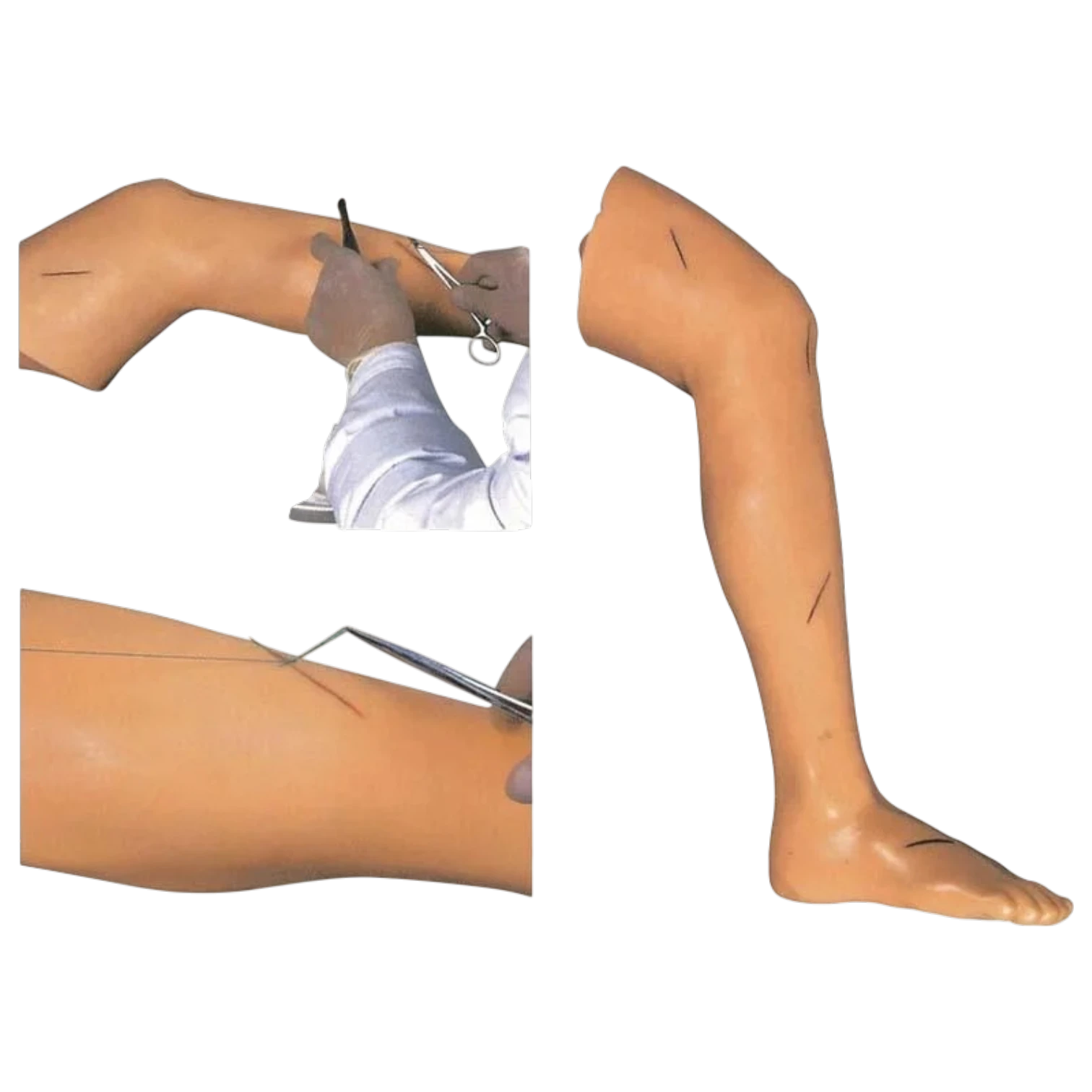 Advanced Suture Practice Leg